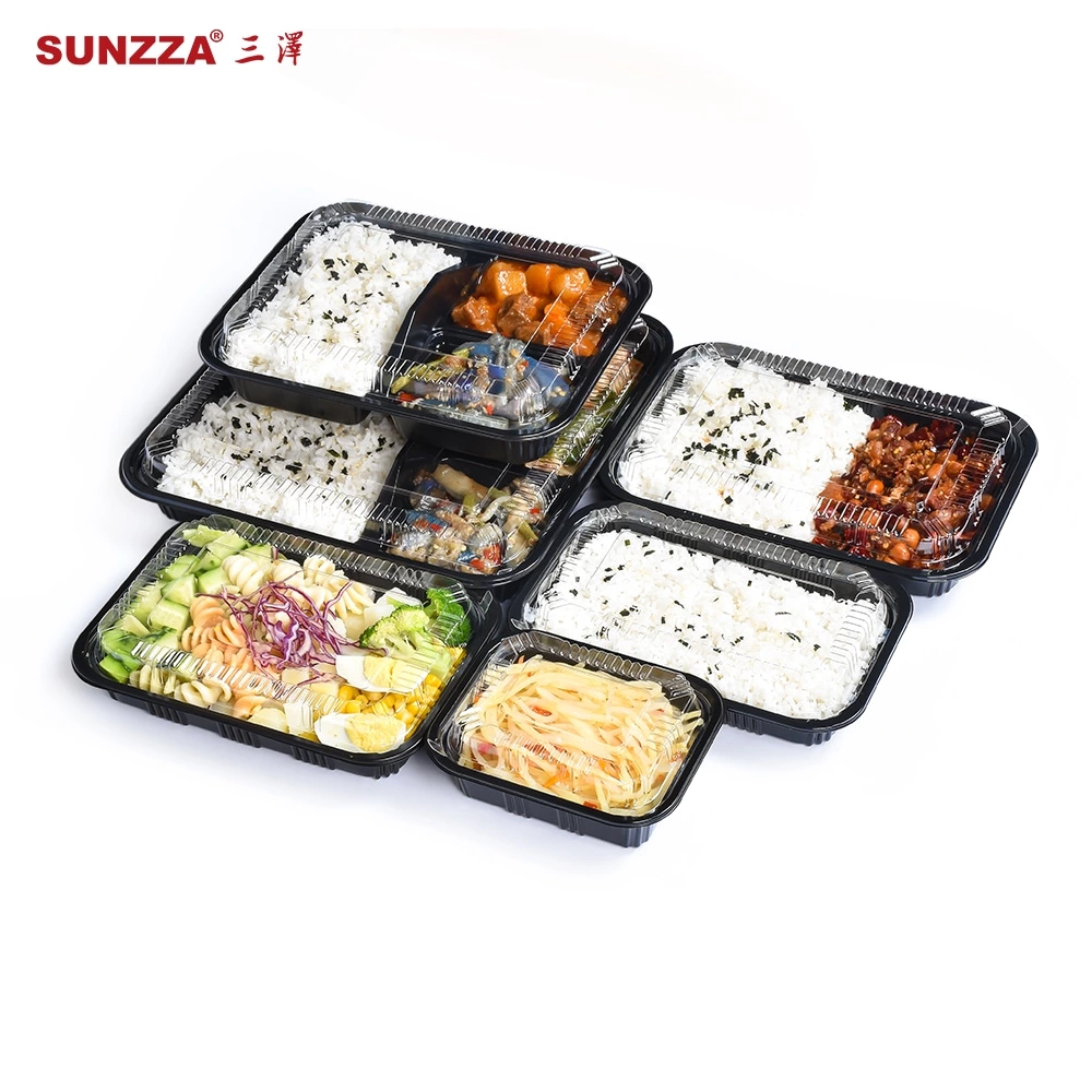 PP Lunch Bento Box