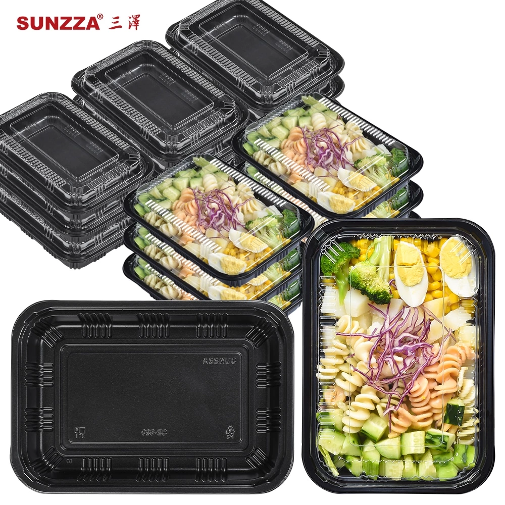 PP Lunch Bento Box