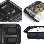 PP Lunch Bento Box