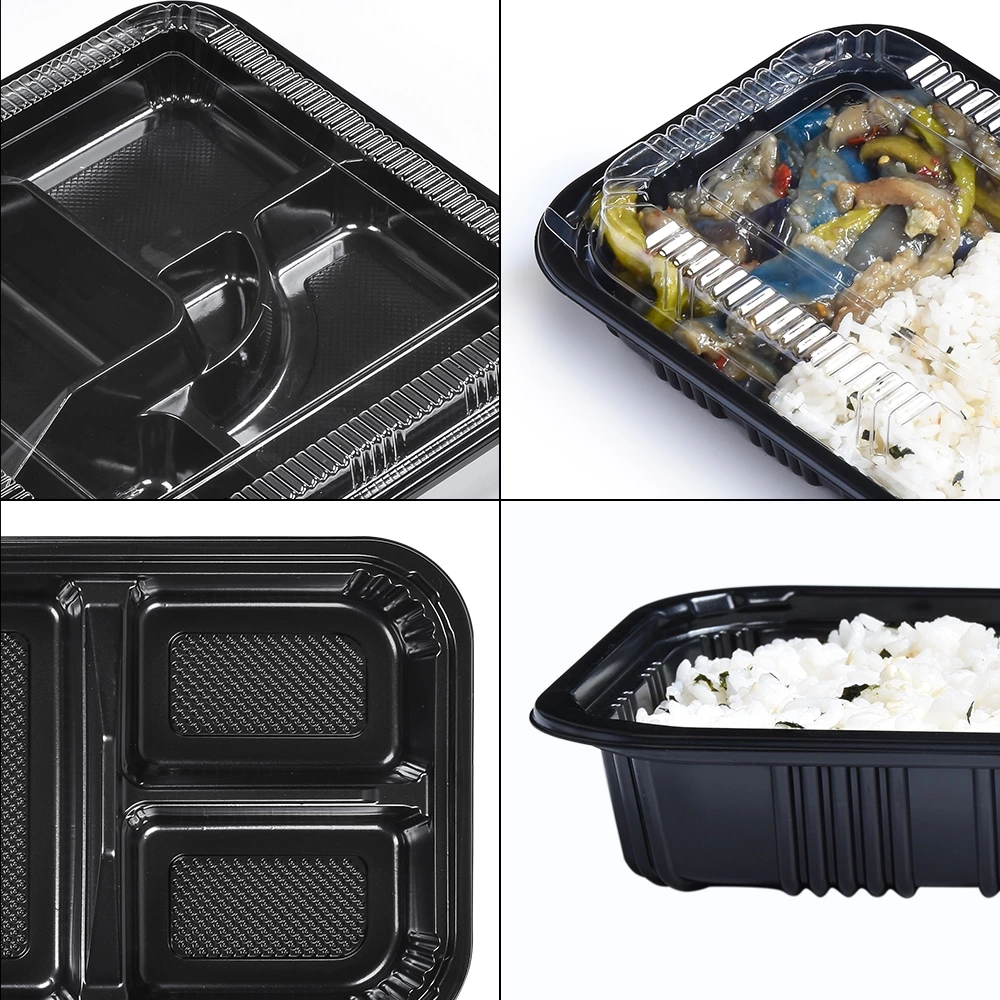 PP Lunch Bento Box