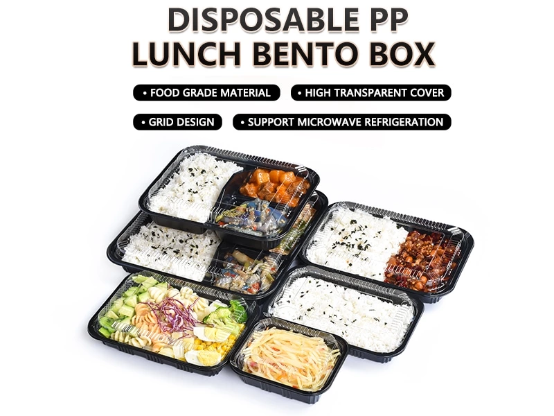 PP Lunch Bento Box