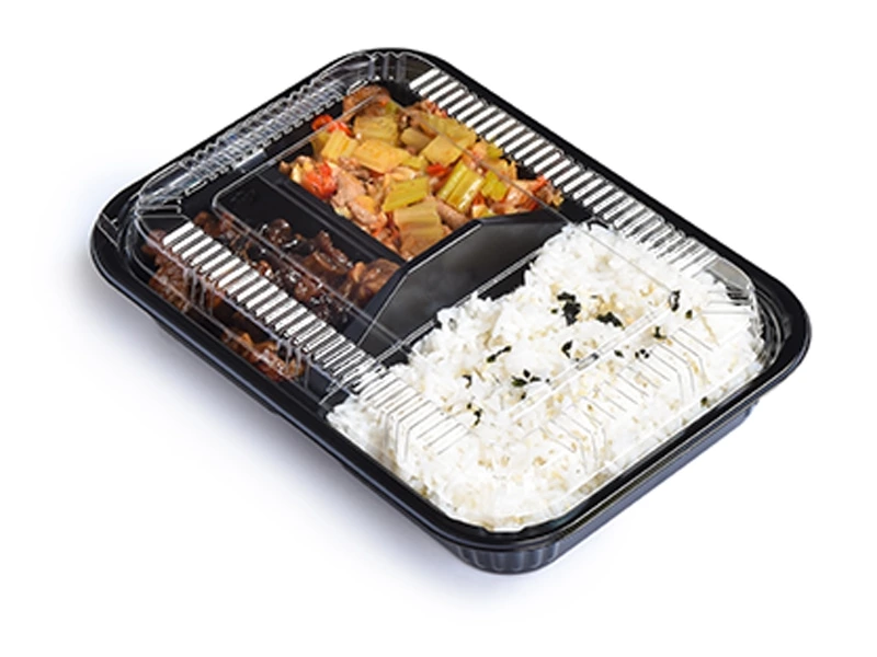 PP Lunch Bento Box