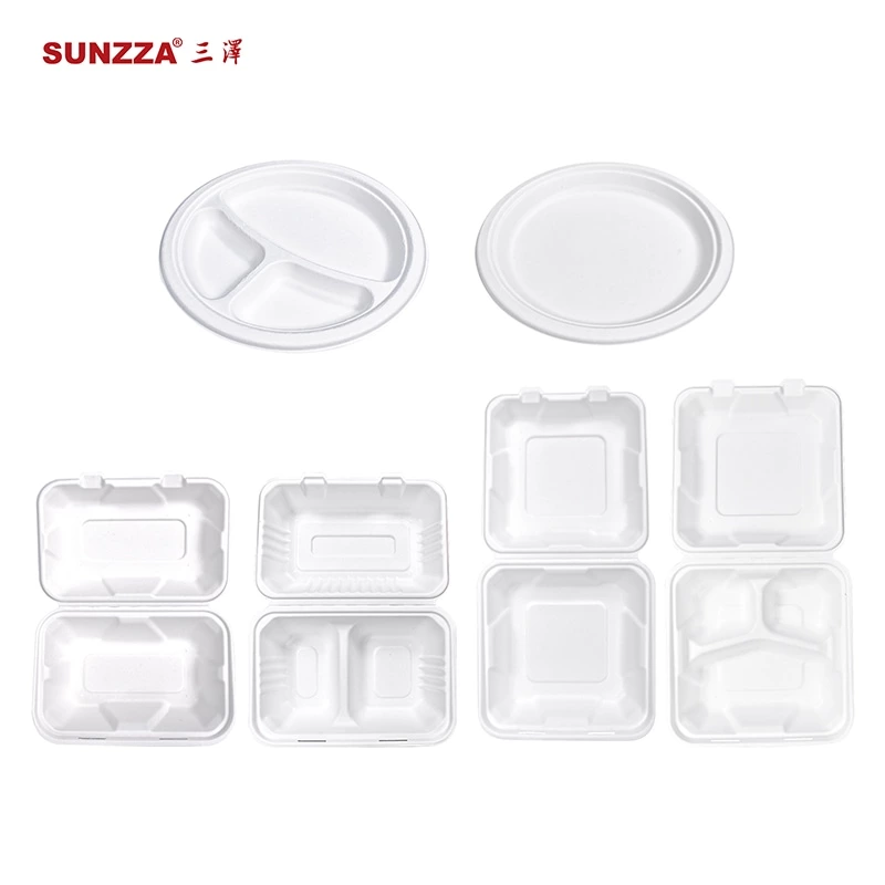 PP Biodegradable Box